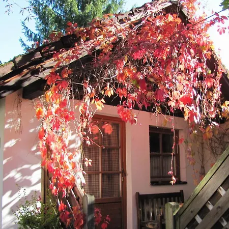 Steinschalerhof Hotel Warth (Sankt Poelten-Land)