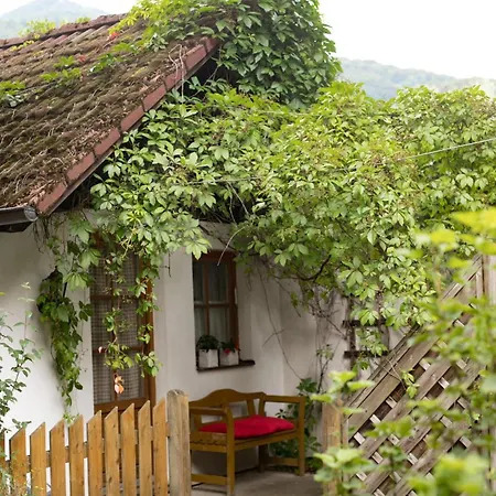 Steinschalerhof 호텔 와스