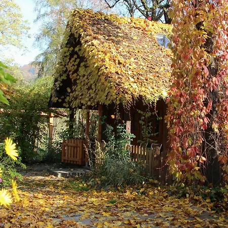 Steinschalerhof Отель