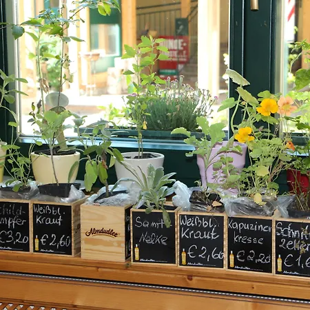 Steinschalerhof 4* Warth (Sankt Poelten-Land)