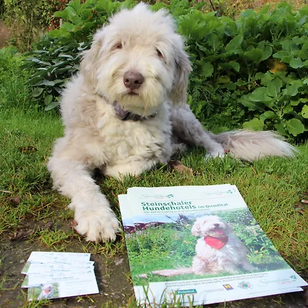 Hotel Steinschalerhof