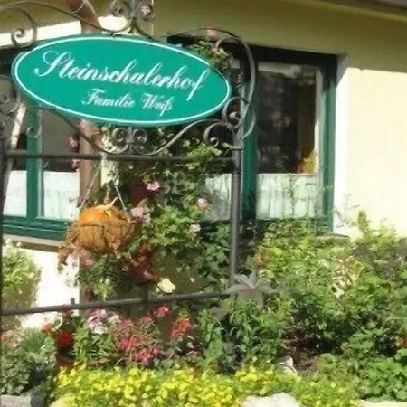 호텔 Steinschalerhof