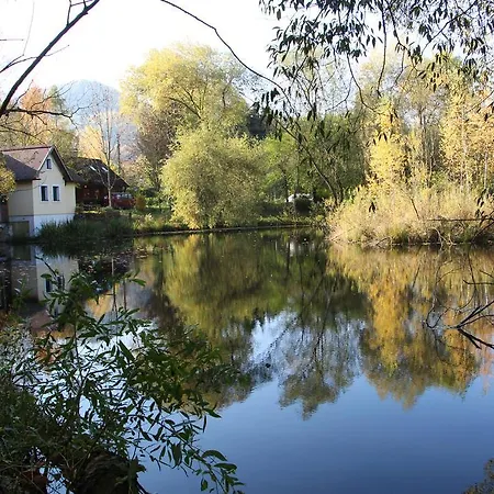 Отель Steinschalerhof