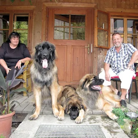Отель Steinschalerhof 4*