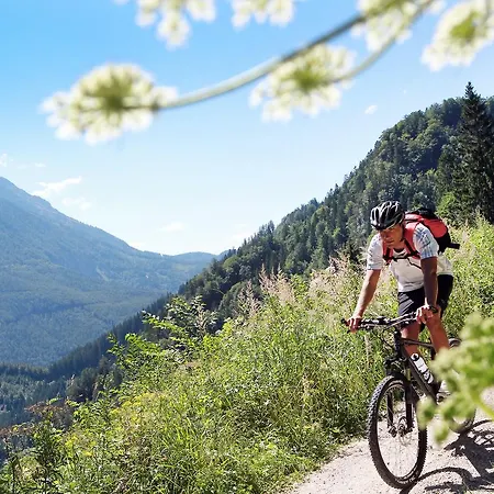 Steinschalerhof Hotel 4*