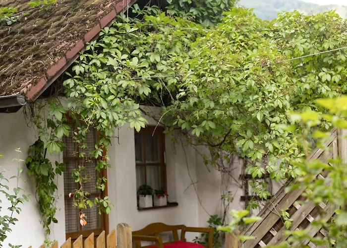 Steinschalerhof Hotel Warth (Sankt Poelten-Land)