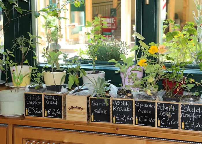 Steinschalerhof 4* Warth (Sankt Poelten-Land)