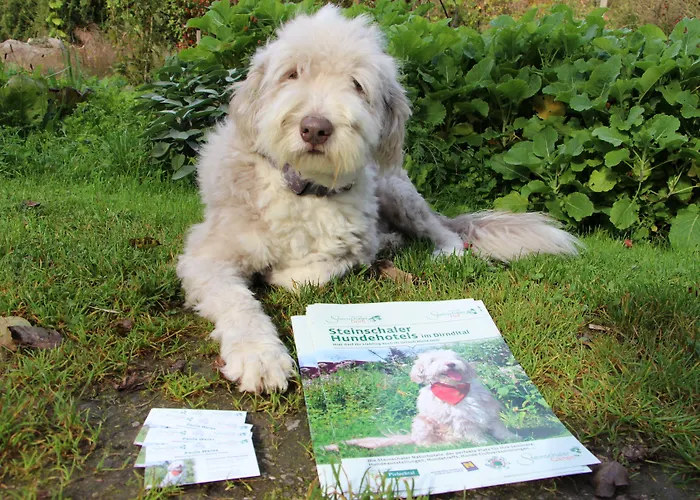 Hotel Steinschalerhof