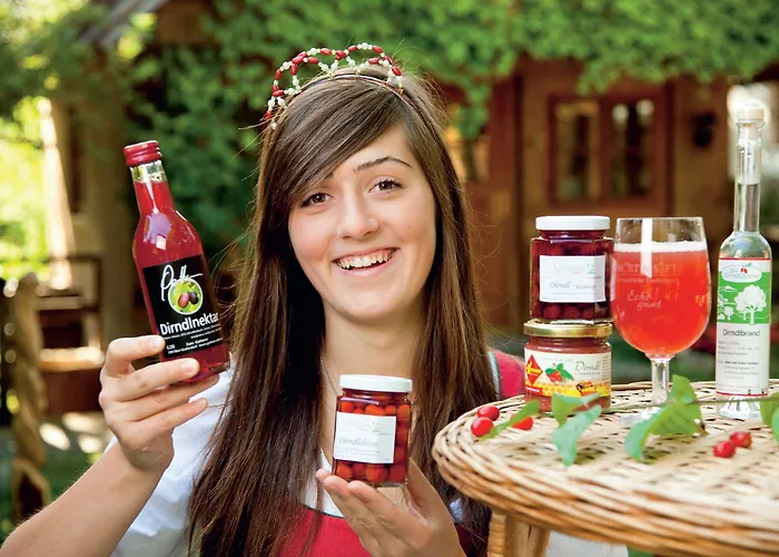 Steinschalerhof 4* Warth (Sankt Poelten-Land)