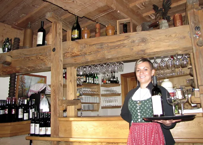 Steinschalerhof 4* Warth (Sankt Poelten-Land)