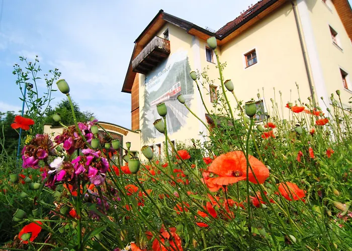 Steinschalerhof 4* Warth (Sankt Poelten-Land)