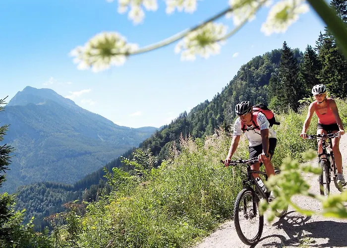 Steinschalerhof Hotel 4*